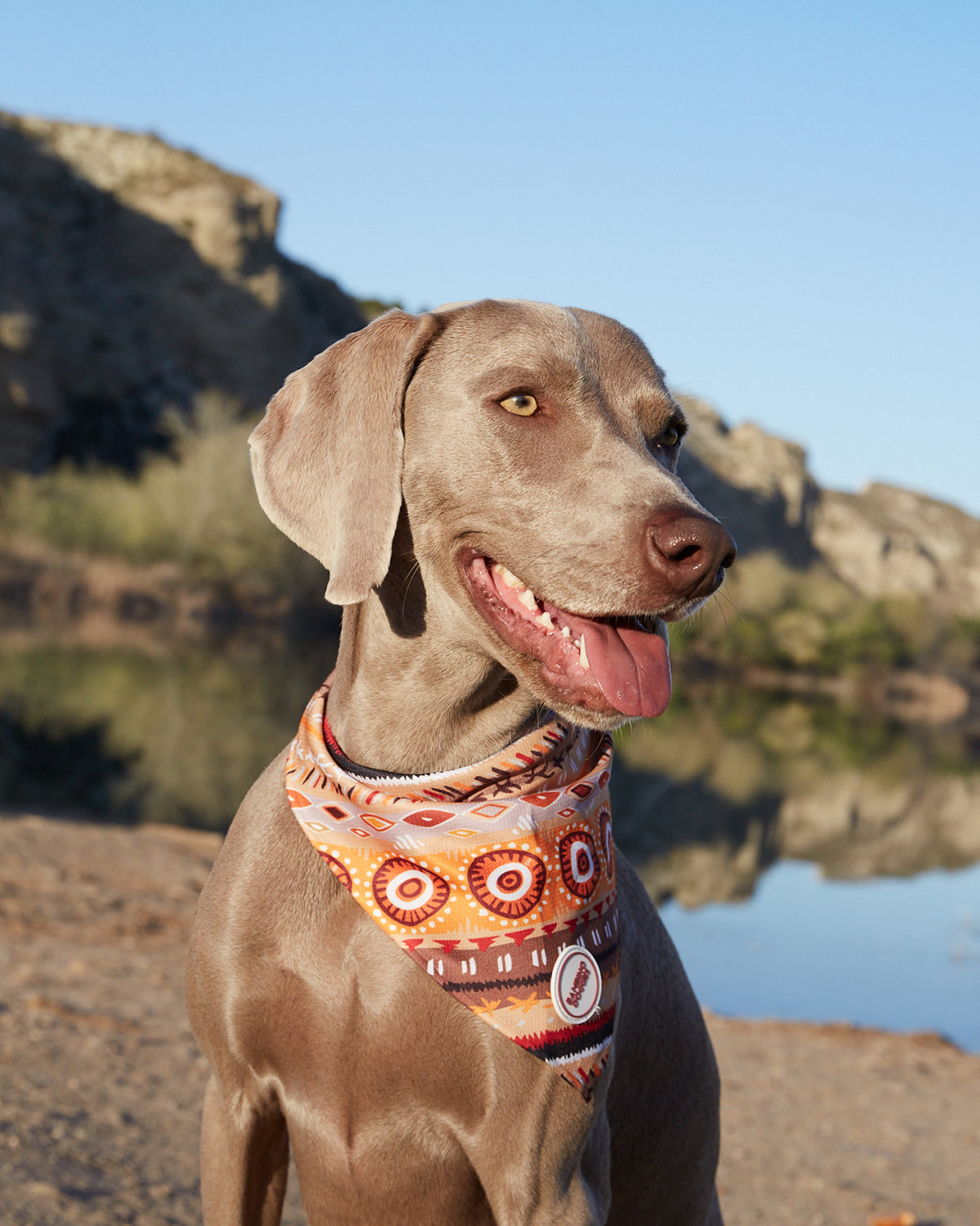 Bandanas