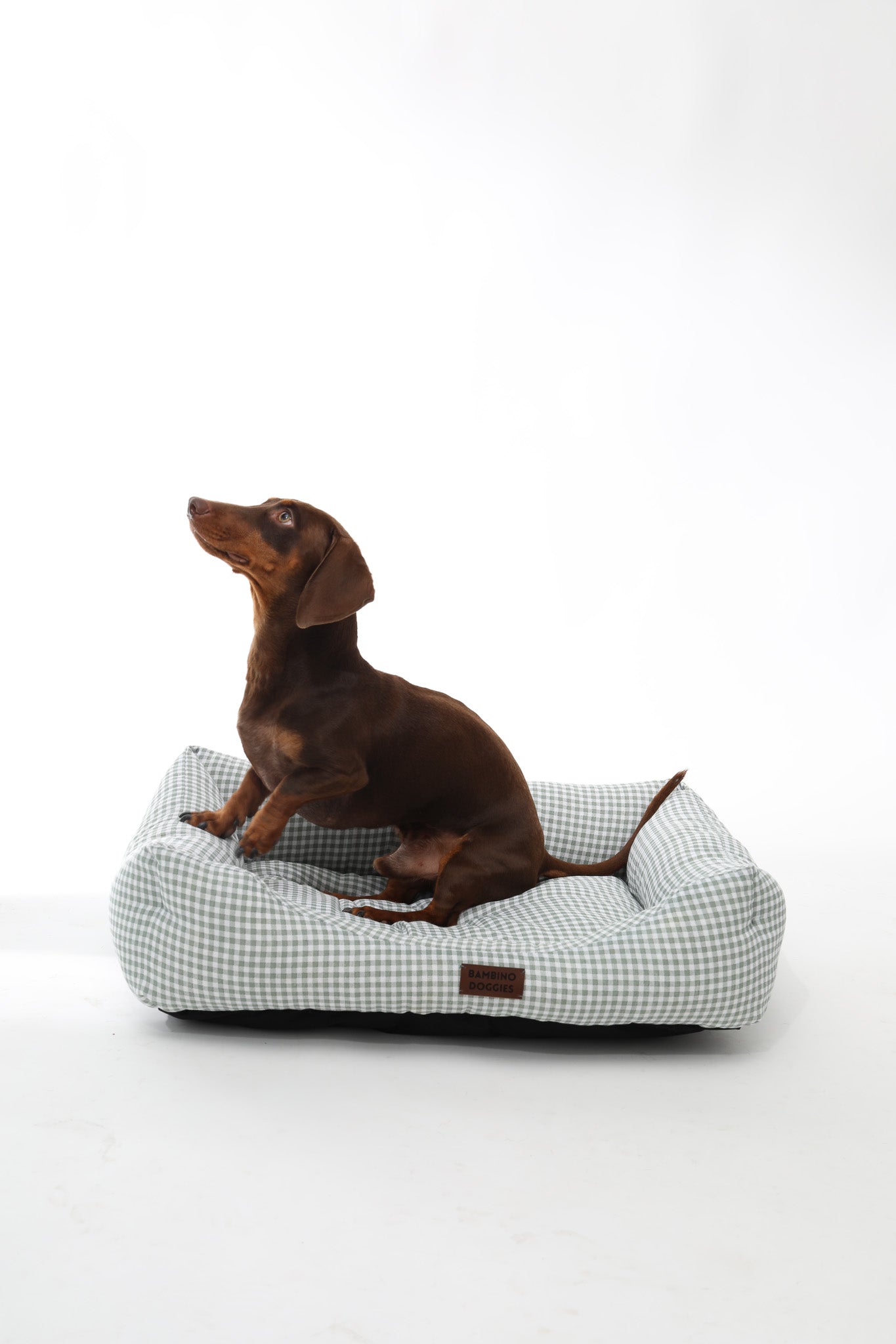 Cama para perros Vichy turquesa