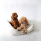 Cama para perros vichy beige