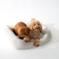 Cama para perros vichy beige