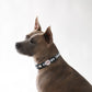 Collar para perros Vichy negro