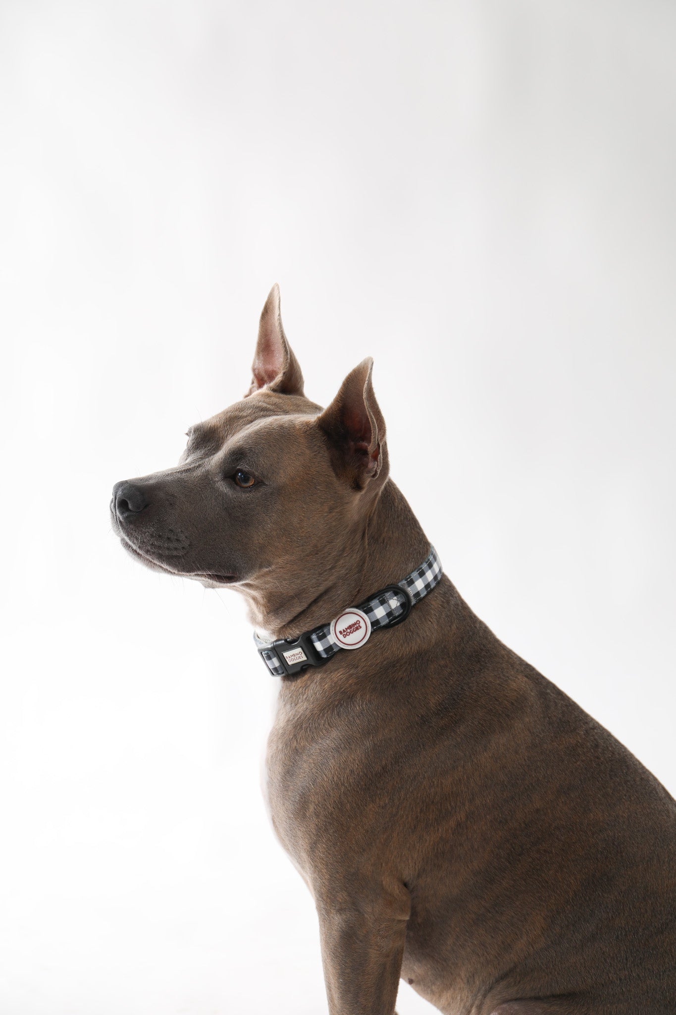 Collar para perros Vichy negro