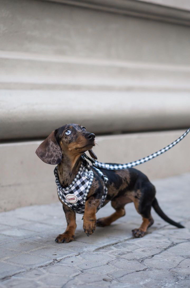 Arnés para perros Vichy negro