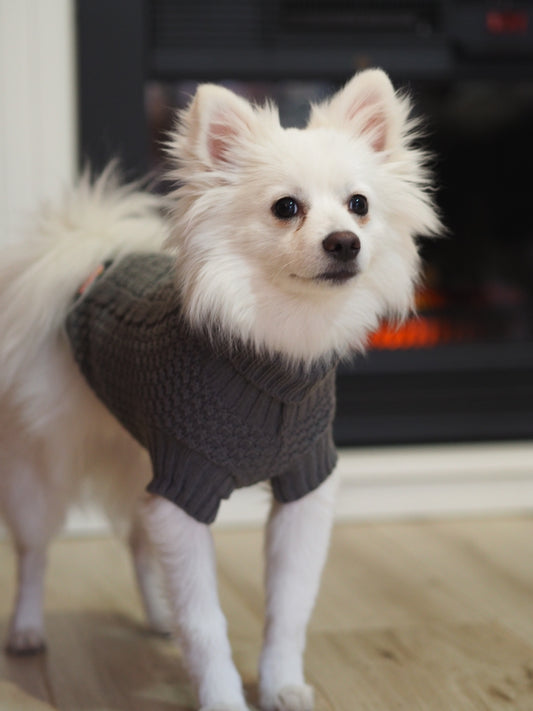 Jersey para perros gris