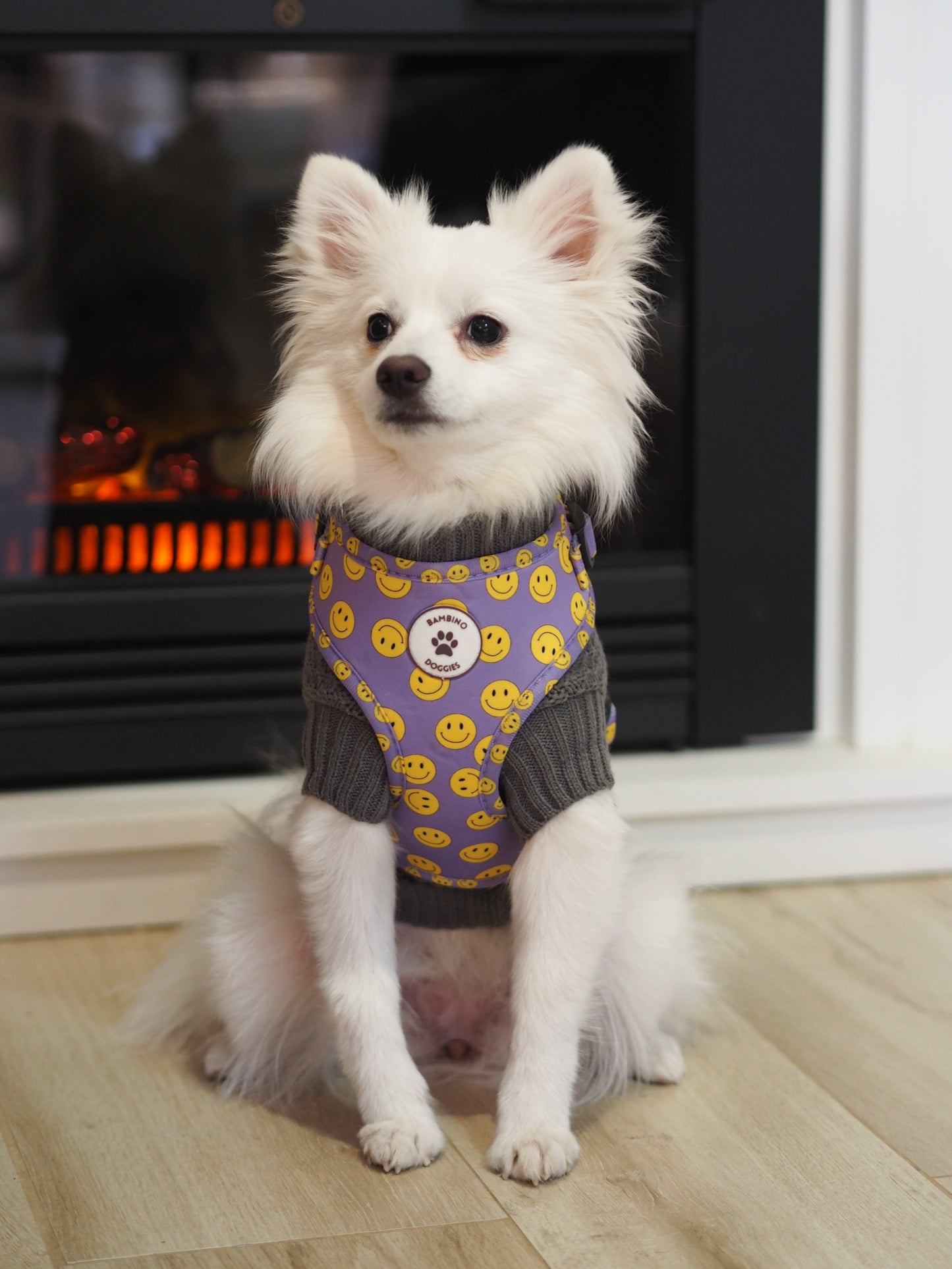 Jersey para perros gris