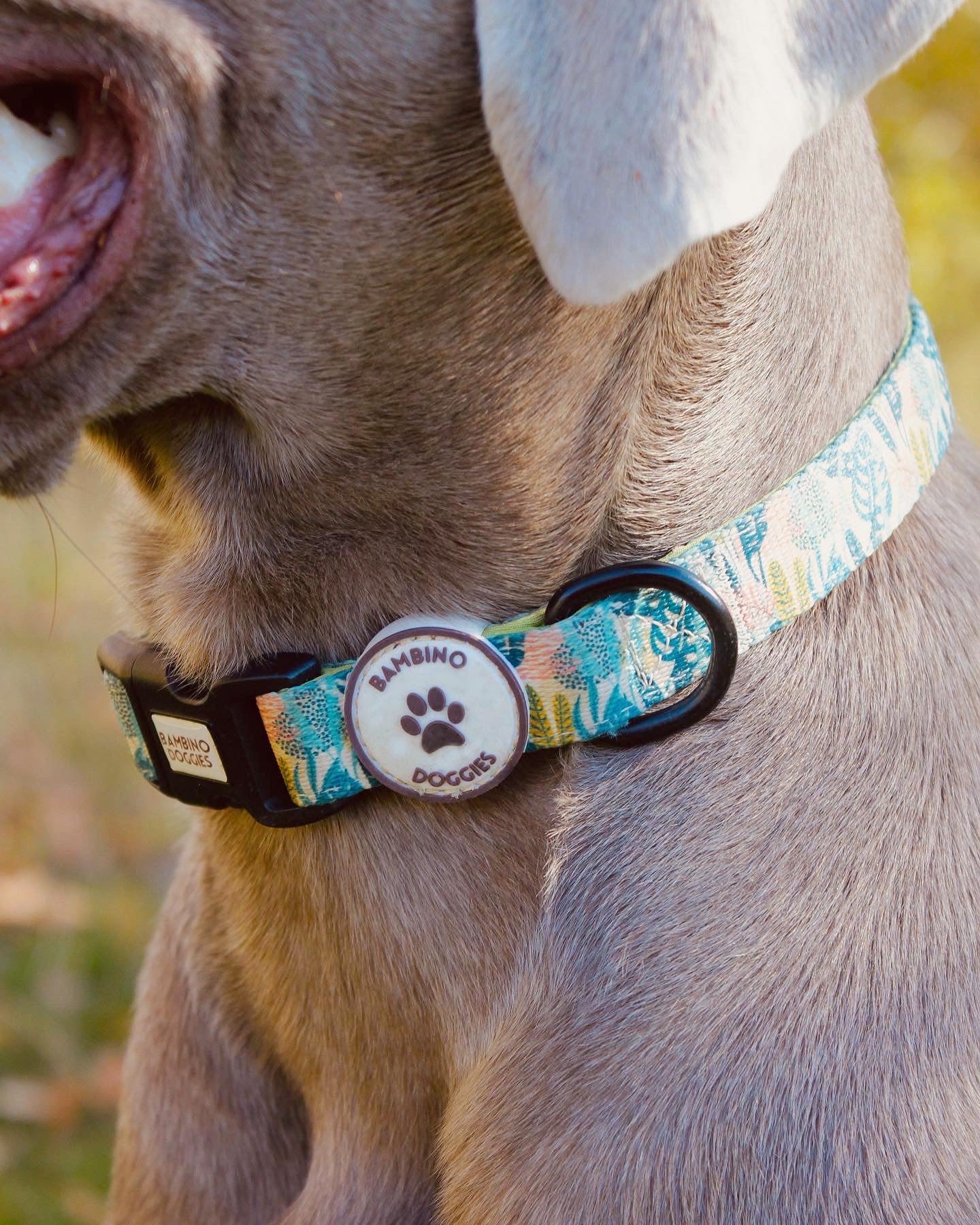 Collar para perros Nature