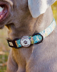 Collar para perros Nature