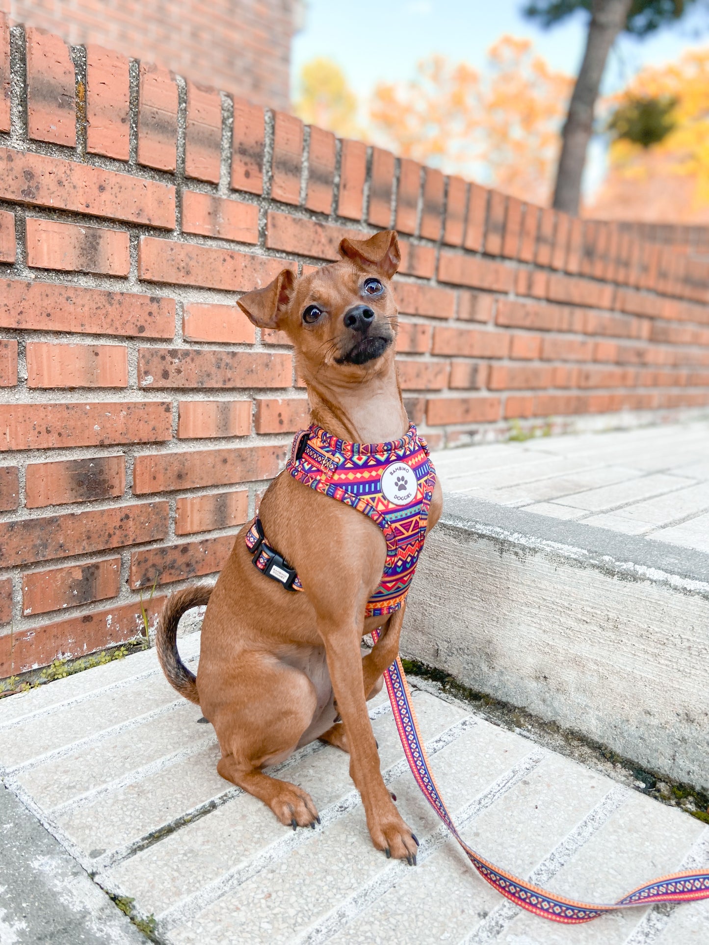 Arnés ajustable para perros Etnic