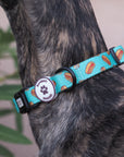 Collar para perros Hot Dog