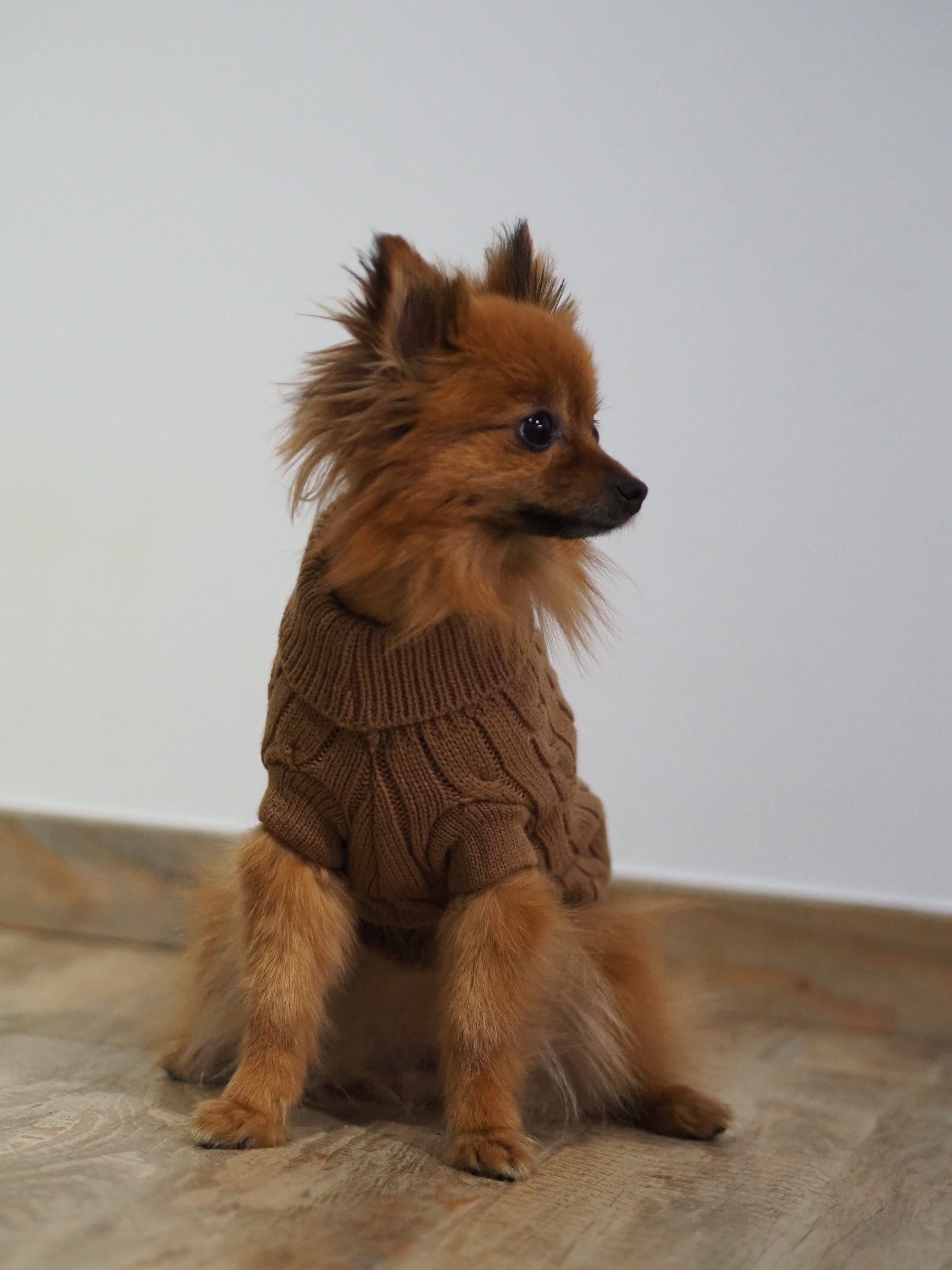 Jersey para perros Brown