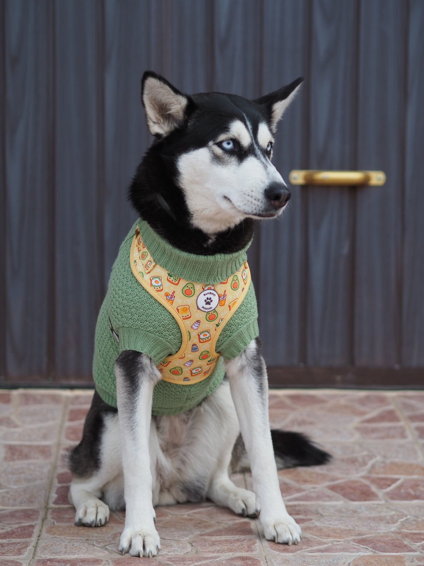 Jersey para perros Mint